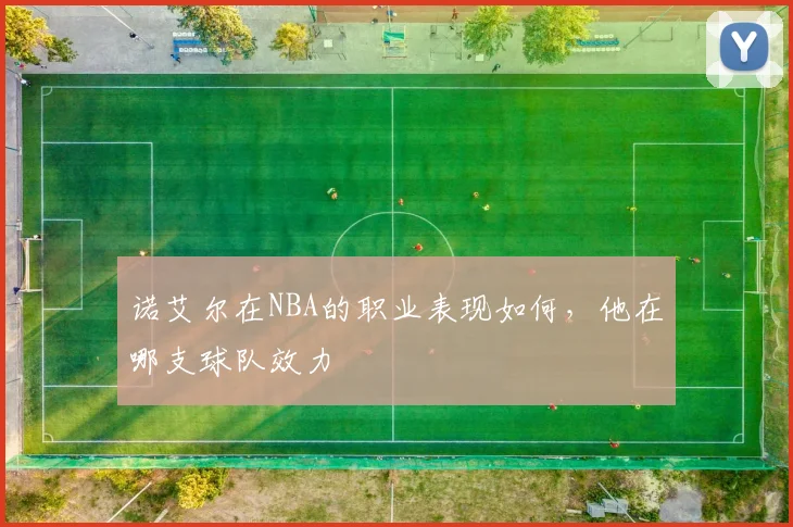 诺艾尔在NBA的职业表现如何，他在哪支球队效力