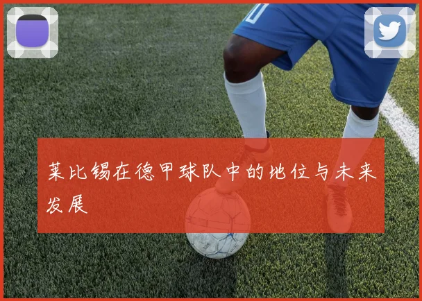 莱比锡在德甲球队中的地位与未来发展